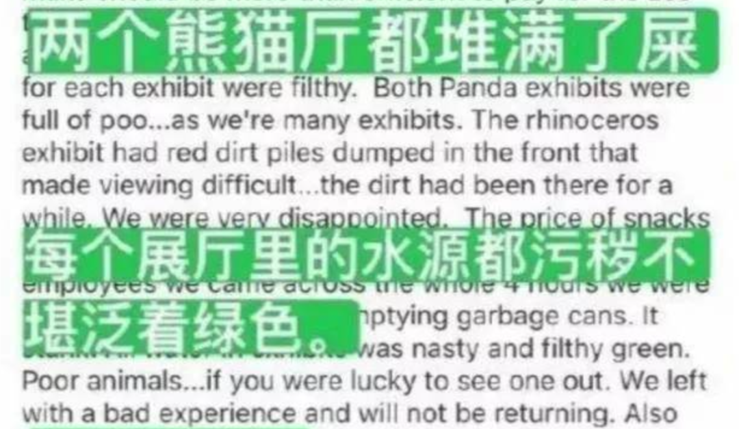 被质疑遭受“虐待”的旅美大熊猫,到底经历了什么?休闲区蓝鸢梦想 - Www.slyday.coM 被质疑遭受“虐待”的旅美大熊猫,到底经历了什么?休闲区蓝鸢梦想 - Www.slyday.coM