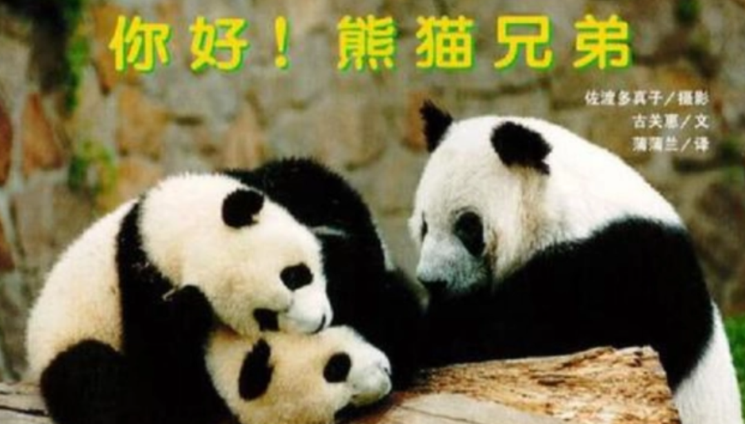 被质疑遭受“虐待”的旅美大熊猫,到底经历了什么?休闲区蓝鸢梦想 - Www.slyday.coM 被质疑遭受“虐待”的旅美大熊猫,到底经历了什么?休闲区蓝鸢梦想 - Www.slyday.coM