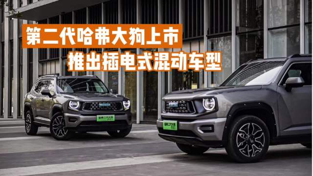 这次真的可以买！推出插电式混动车型 第二代哈弗大狗上市