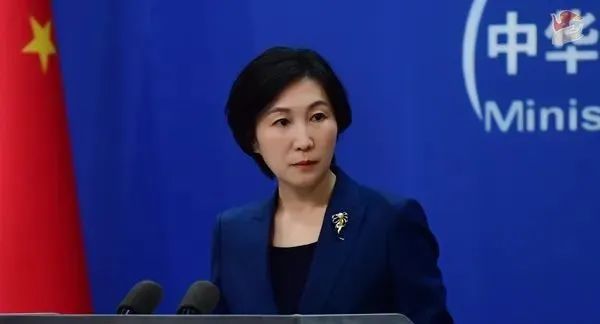 外交部发言人毛宁 图源:外交部网站