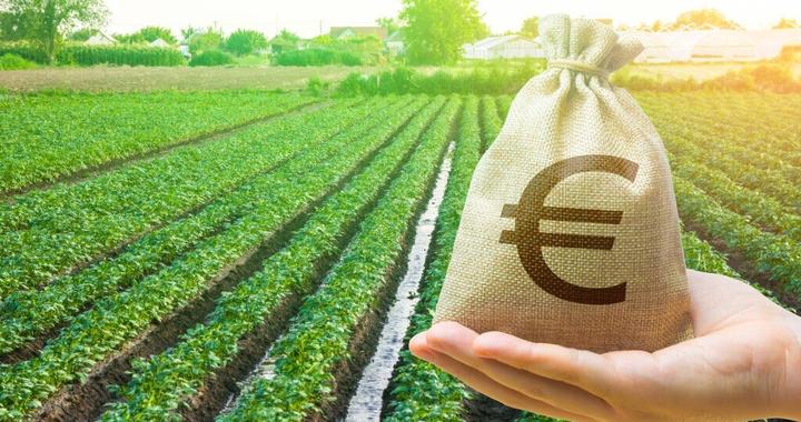 大豆每亩补贴468元最新消息