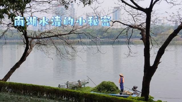 不容错过的湖人队关键时刻表现与战术解析