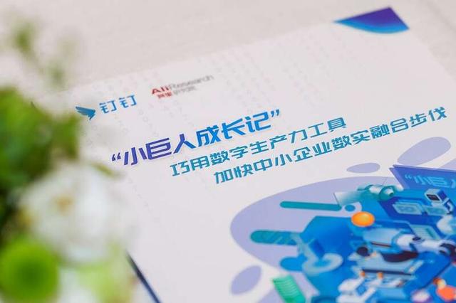 阿里研究院和钉钉联合发布中小企业数字化案例集。主办方供图