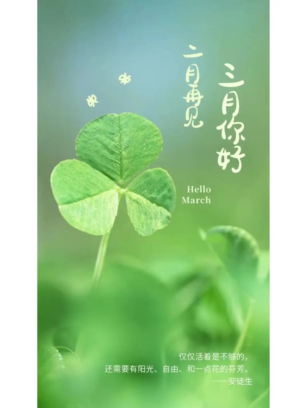 深入了解3月11日的體育盛況