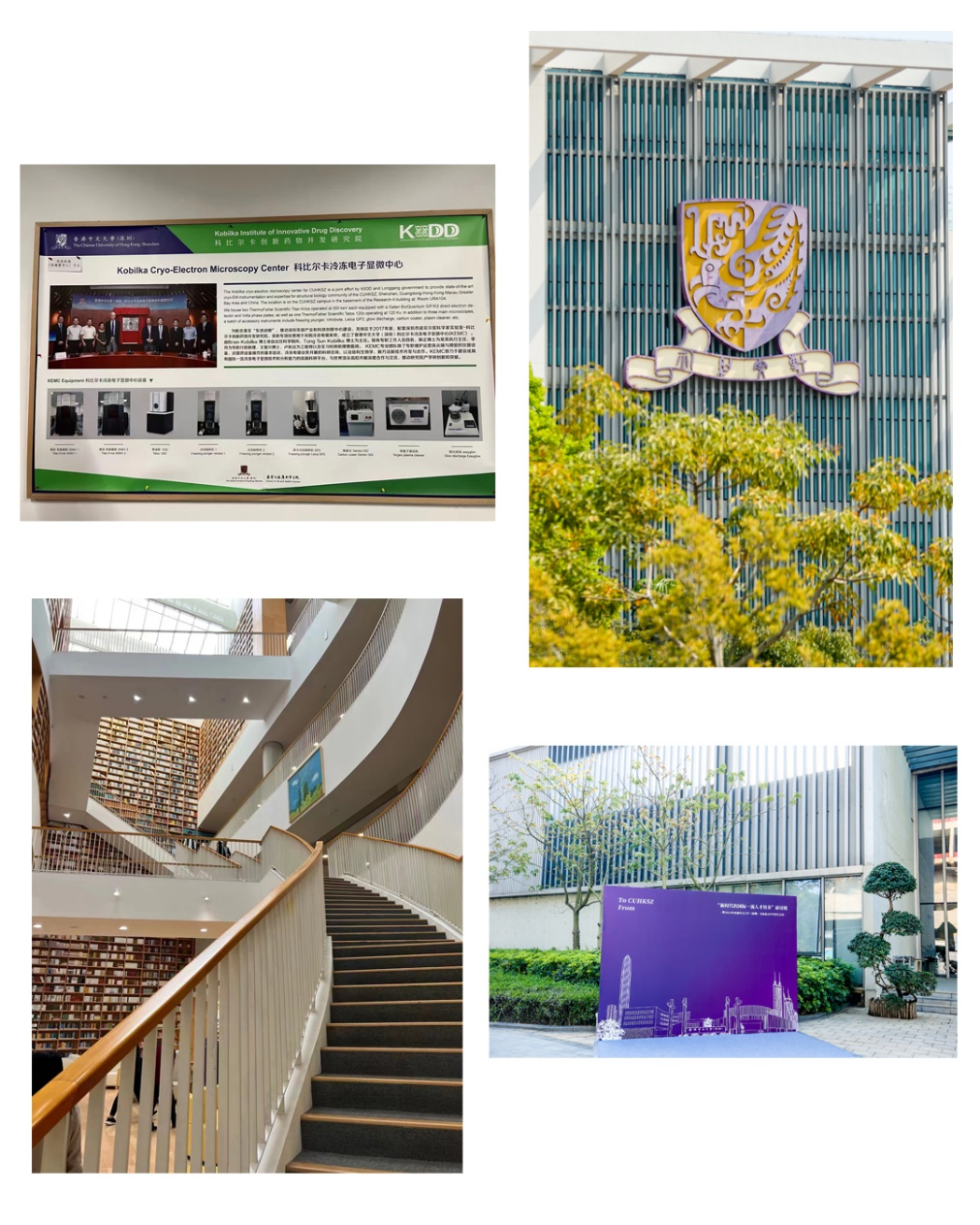 李迅:新时代国际一流人才培养 基础教育的三大发力点9 李迅:新时代国际一流人才培养 基础教育的三大发力点