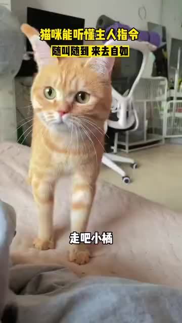 常熟200块钱随叫随到的学生