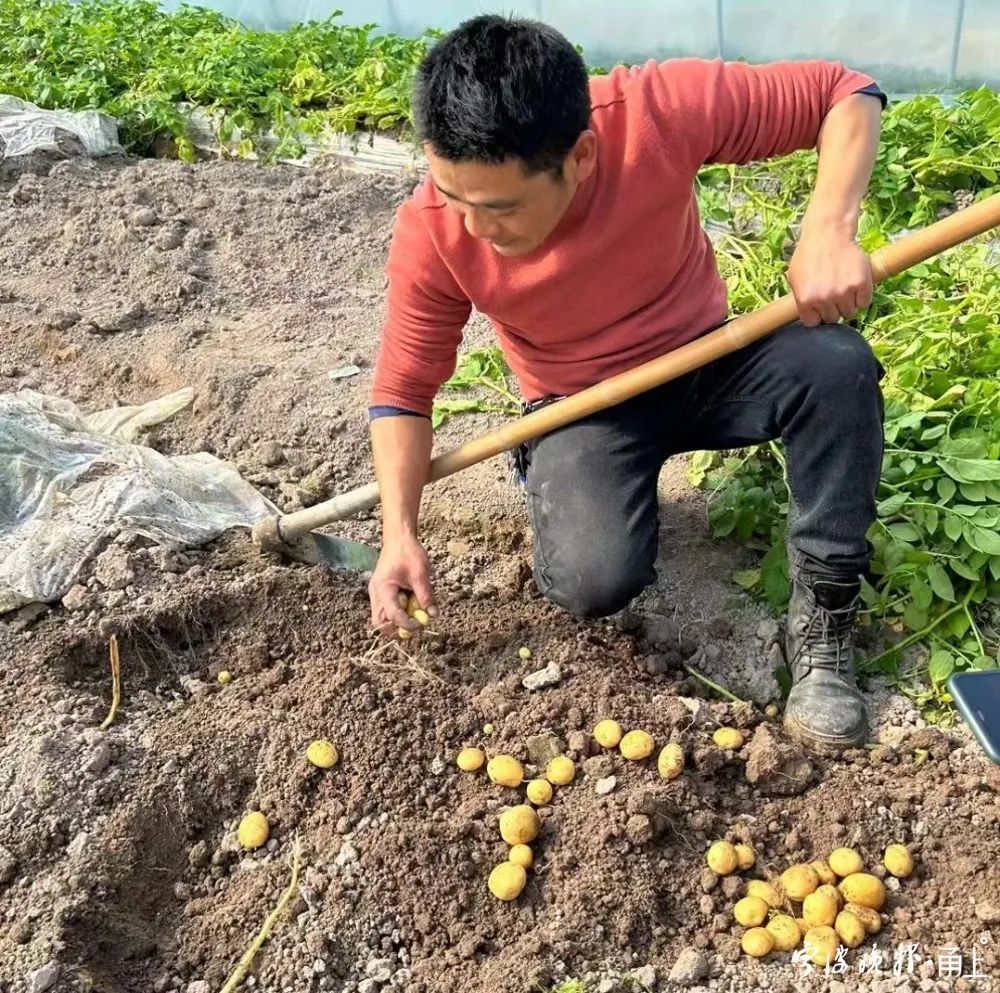 宁波味一早餐春节营业时间（首次提早2个月！宁波人“小时候的味道”上市了！价格是……）