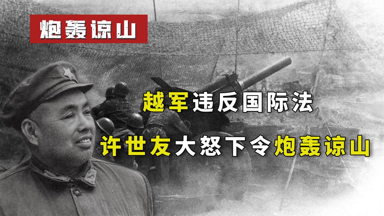 越军违反国际法，用化学武器攻击解放军，许世友大怒下令炮轰谅山