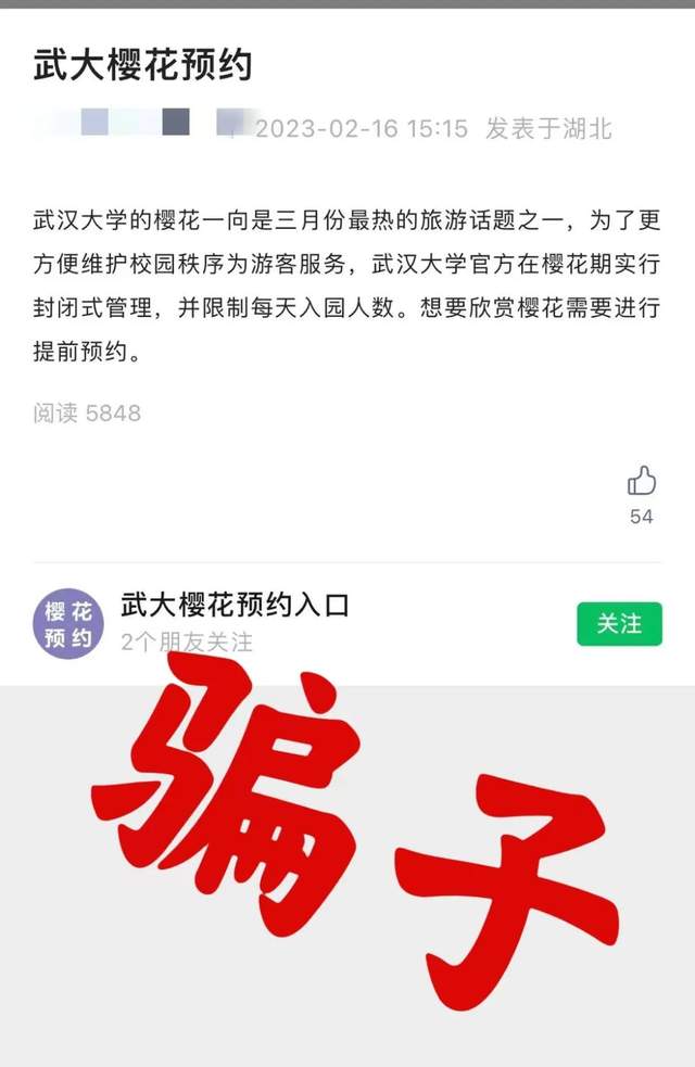 来源:澎湃新闻