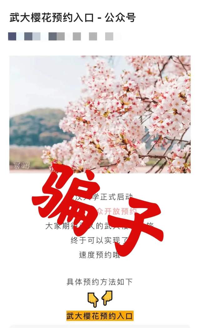来源:澎湃新闻