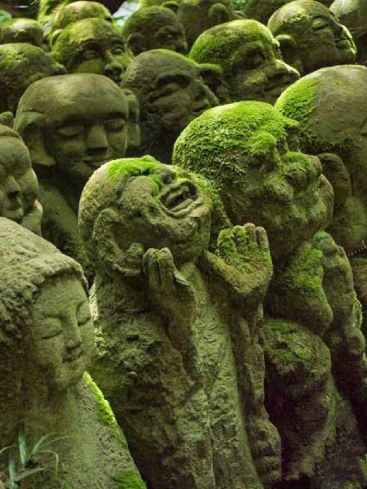 日本愛宕念仏寺,是一座天台宗的佛教寺院……