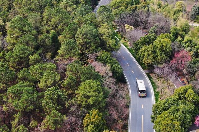 2023年3月7日，航拍南京牛首山，自然风光秀丽。中新社记者 泱波 摄