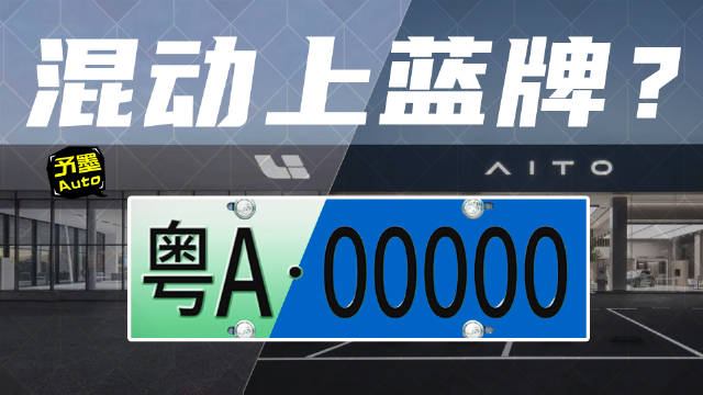 做个大胆猜测，未来3-5年，会有混动车（PHEV、EREV）上蓝牌的动作