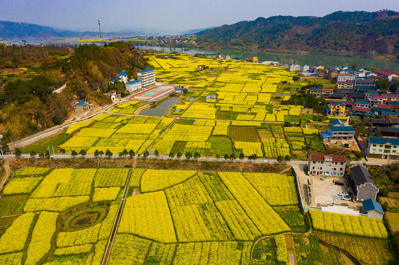 怀化酒店暗号是什么