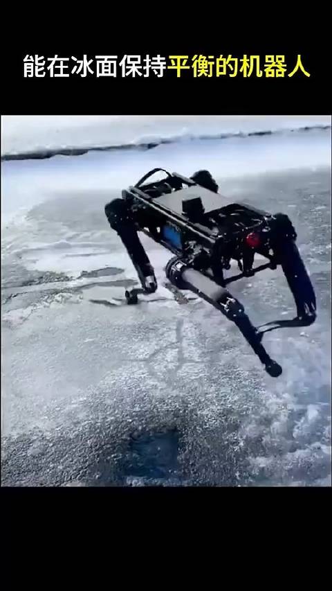 能在冰面上保持平衡的机器人，这个厉害了！