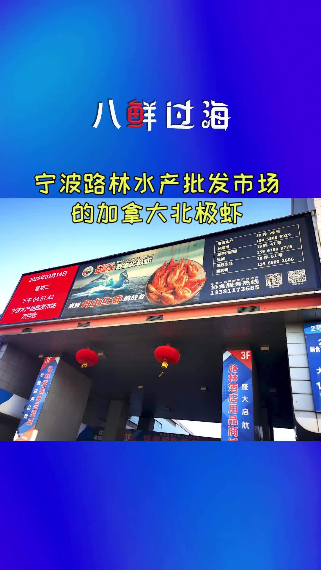 宁波最便宜的海鲜批发市场在哪里