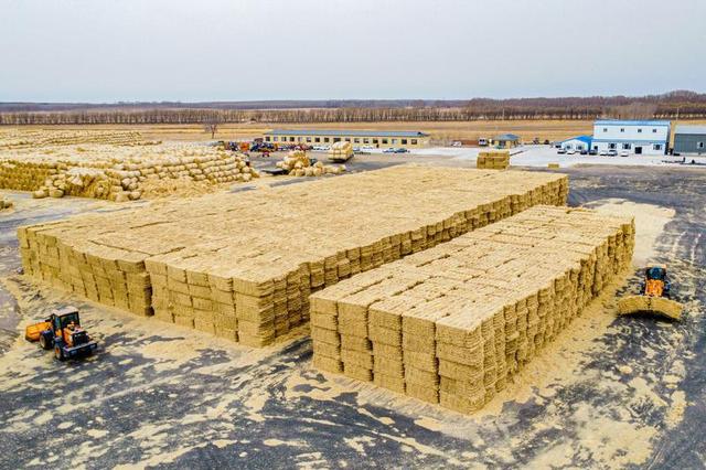 作者：吉林日报全媒体记者 张野