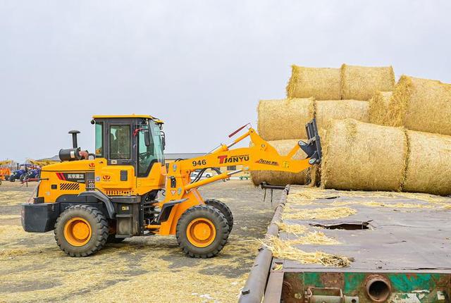 作者：吉林日报全媒体记者 张野