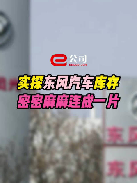 东风汽车库存密密麻麻连成一片