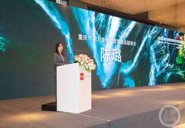 △重庆市地方金融监督管理局陈璐副局长介绍了重庆市金融业发展态势