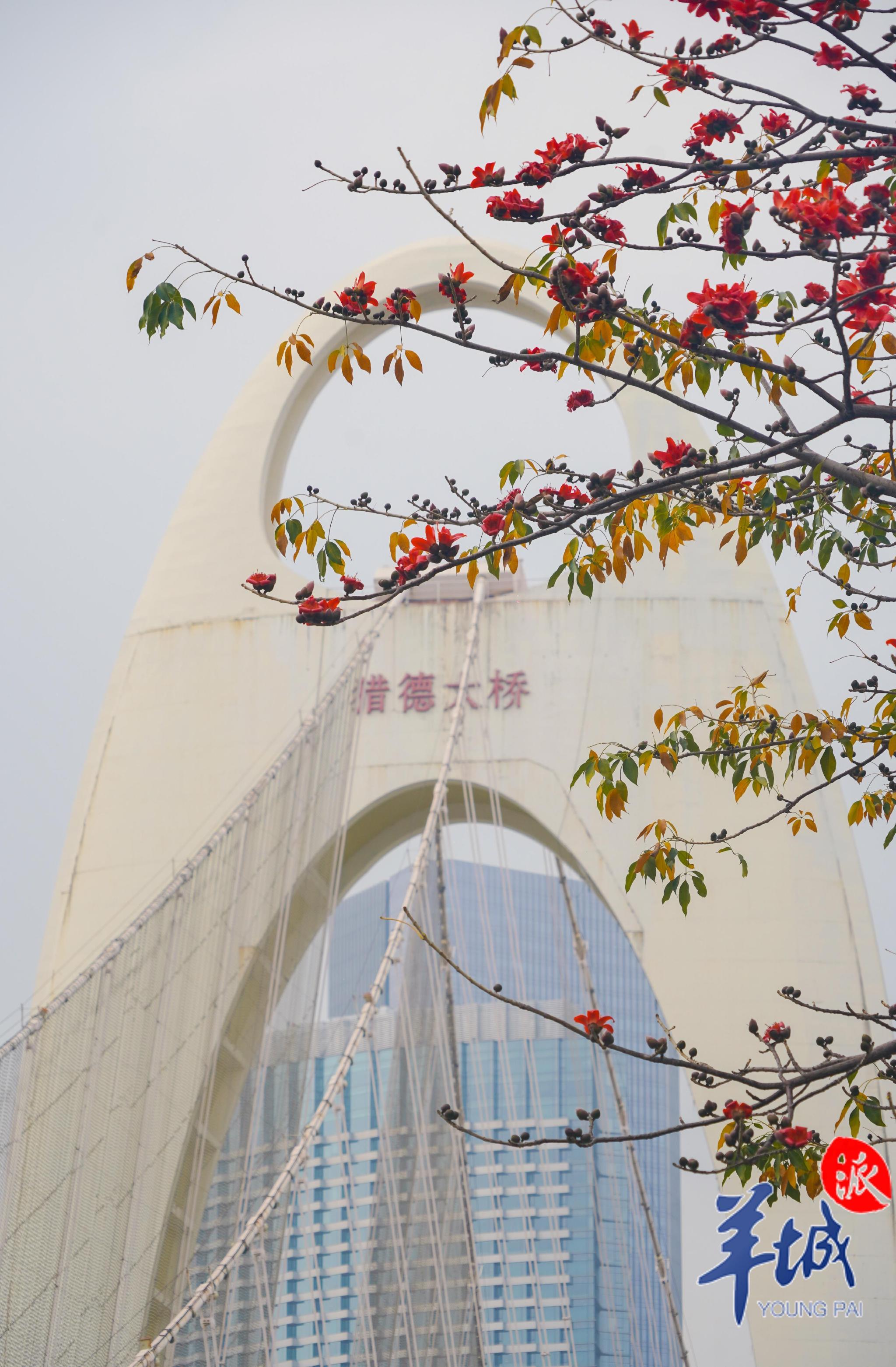 广州推出“红棉展映”“红棉之旅”，唤起红色记忆 | 英雄花开英雄城|纪念馆|红棉|黄埔军校旧址_新浪新闻
