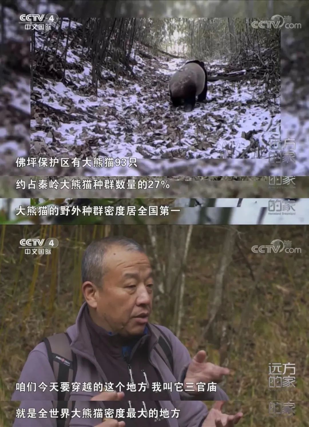 远方的家全集免费版 e9e0-ff891552b59ec4caad1920a2302d8b34.jpg
