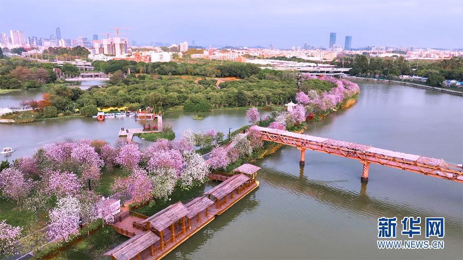 　　广州城市建设以自然为美，注重把好山好水好风光融入城市面貌。图为航拍广州海珠国家湿地公园一隅。新华网发（罗宜威 摄）