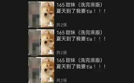 值得听-挂机方案挂机项目有哪些项目（卧龙娱乐）挂机论坛(4)