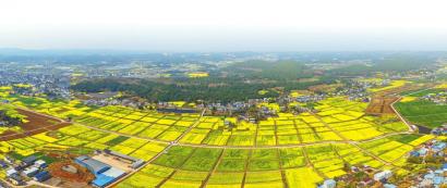 俯瞰德阳中江县现代农业粮食生产示范基地。 中江县委宣传部供图