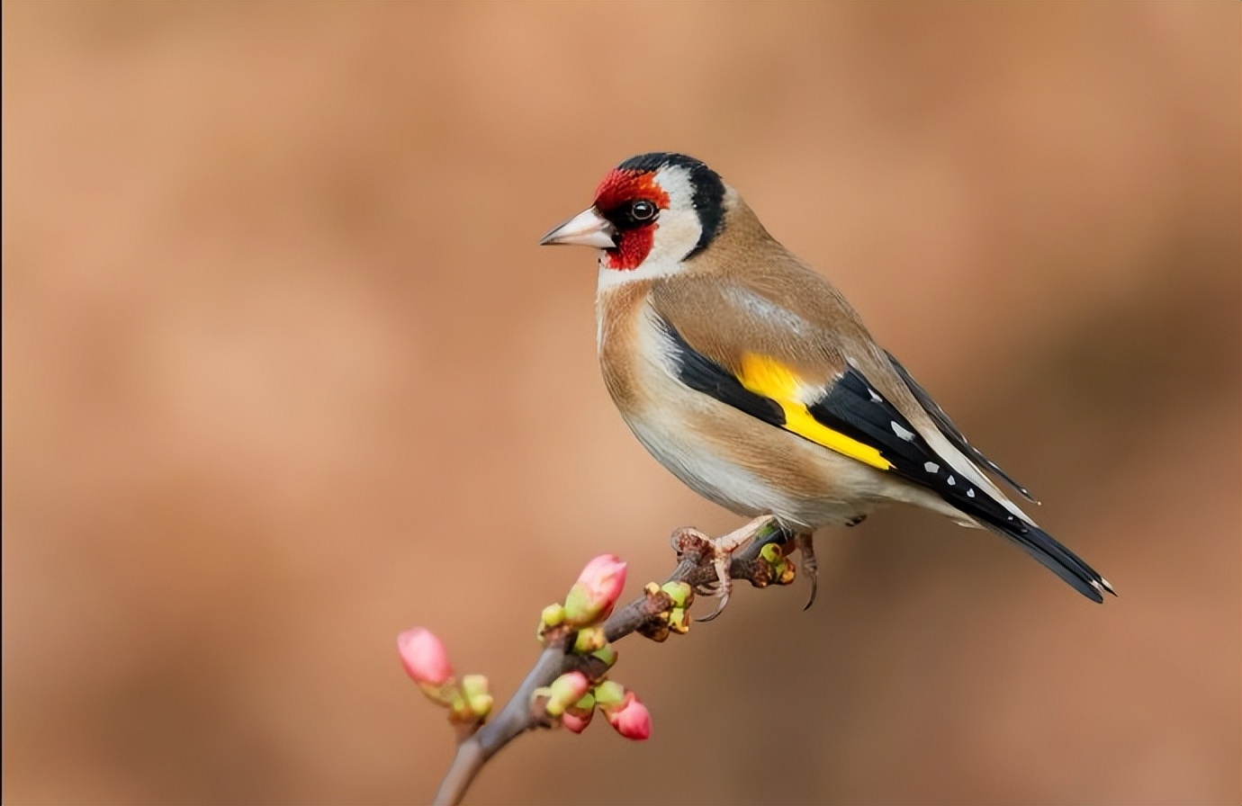 上海试管婴儿排名第一（夫妻久别重逢，男人如何判断，女人有没有“背叛”？）