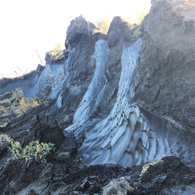 近5万年前的北极病毒被复活