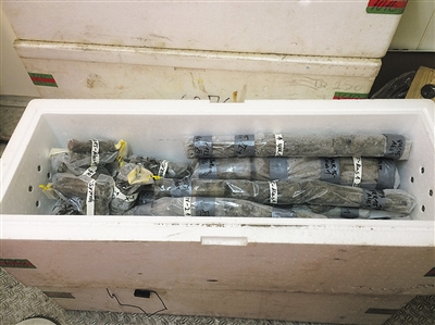 近5万年前的北极病毒被复活