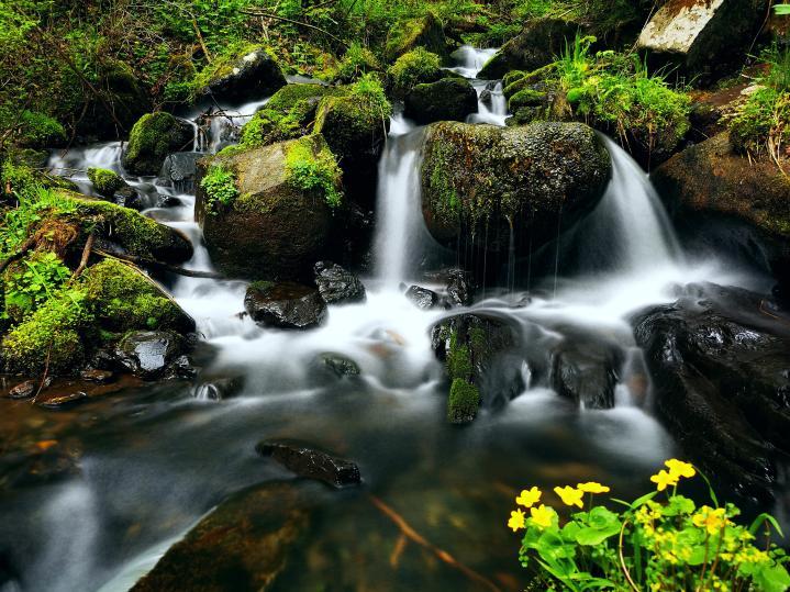 凤凰山国家森林公园景区的溪流。受访者提供