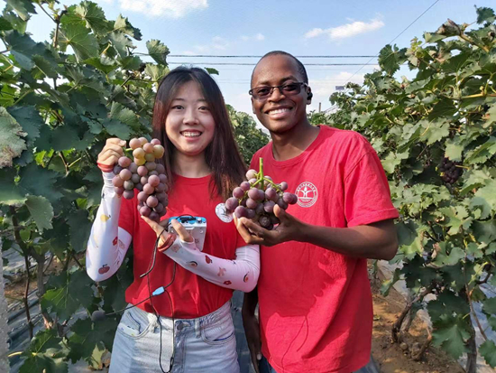 中国为什么要帮助非洲留学生 a99e-c8f1f68a2b31cc9733b57a1f971e530e.jpg