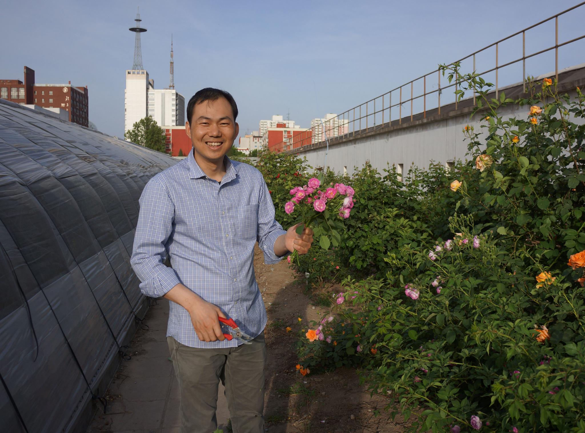 杨树华在蔬菜花卉研究所基地。受访者供图