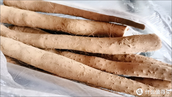 健康男人手持铁棍斗狼 打败狼的关键因素