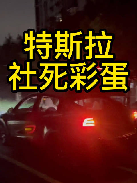 大小马开箱05