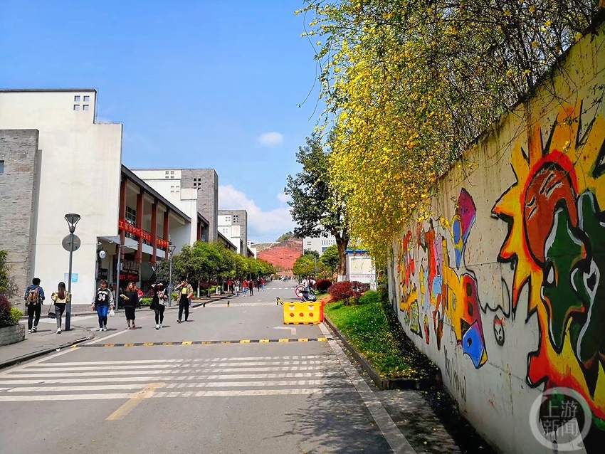 《春满校园》组照一 周文武 摄