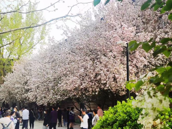 值得听-挂机方案挂机项目是什么意思（门徒平台）挂机论坛(1)