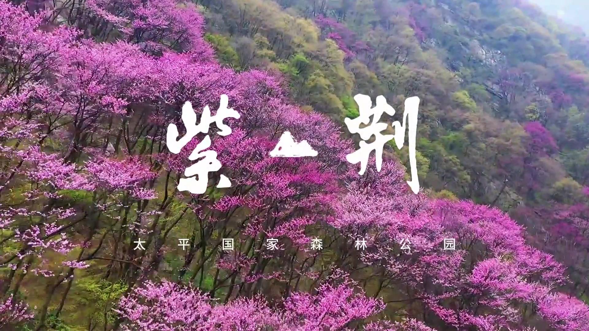 一舟影像:春天的紫荆山公园 原来可以这么美