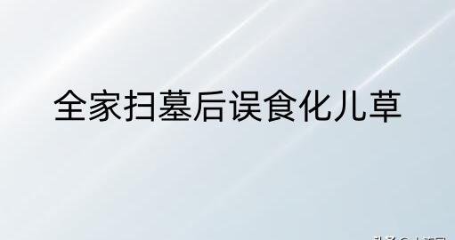 全家扫墓后误食化儿草！化儿草是什么？和血皮菜有什么区别？