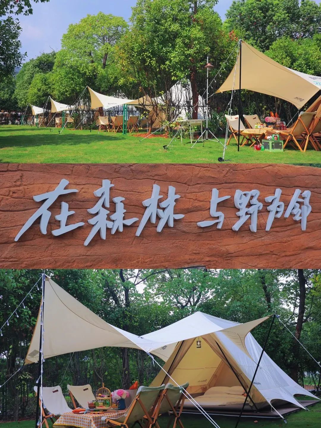 江苏十三城清明出游指南?别错过这五回应你的旅行期待!” 江苏十三城清明出游指南?别错过这五回应你的旅行期待!”