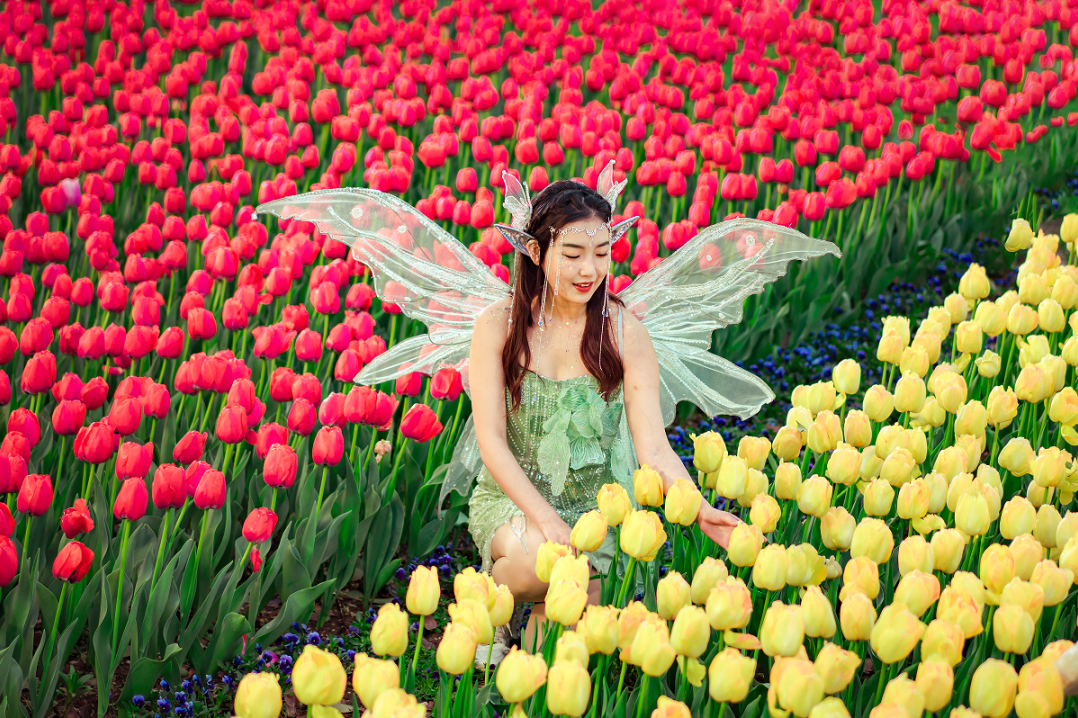 江苏十三城清明出游指南?别错过这五回应你的旅行期待!” 江苏十三城清明出游指南?别错过这五回应你的旅行期待!”