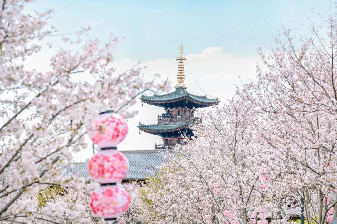 江苏十三城清明出游指南?别错过这五回应你的旅行期待!” 江苏十三城清明出游指南?别错过这五回应你的旅行期待!”