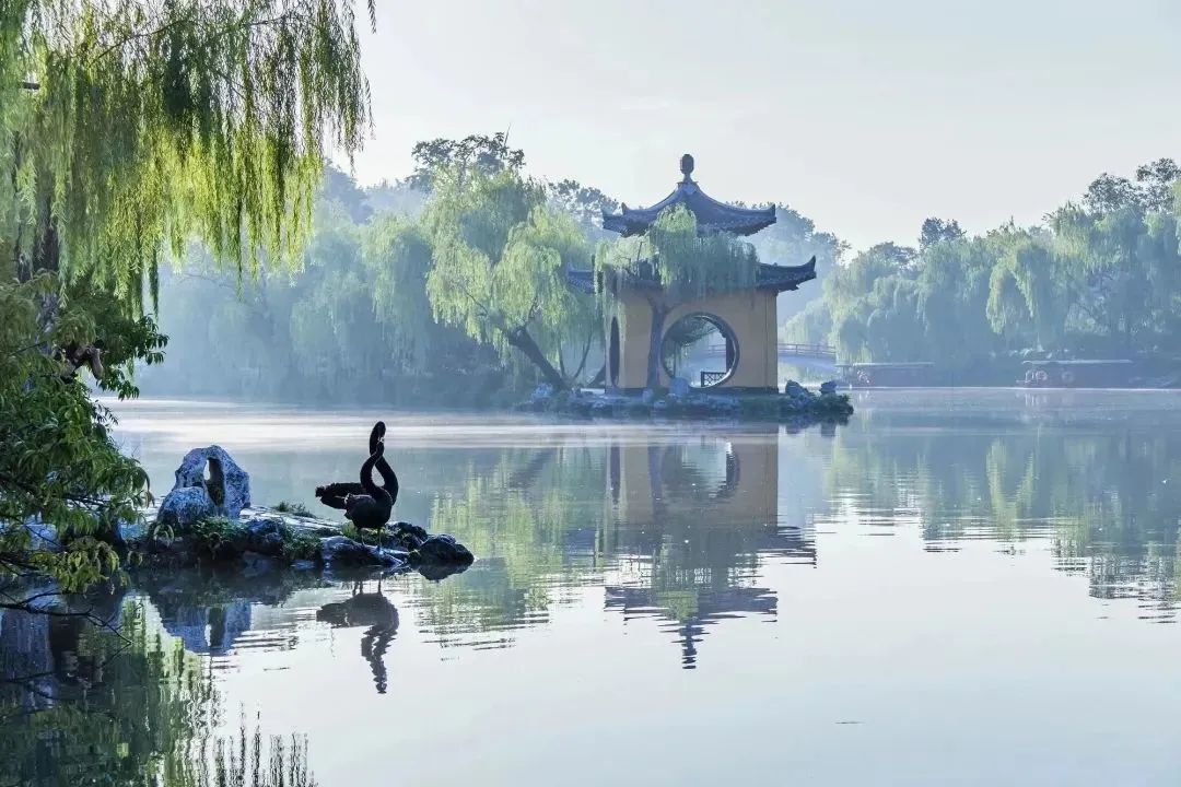江苏十三城清明出游指南?别错过这五回应你的旅行期待!” 江苏十三城清明出游指南?别错过这五回应你的旅行期待!”