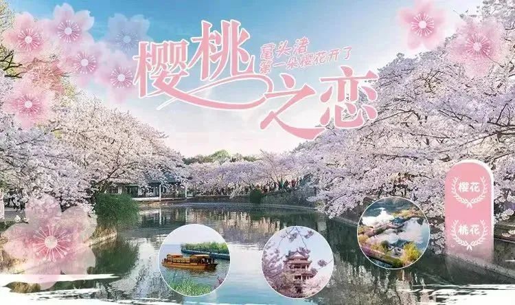 江苏十三城清明出游指南?别错过这五回应你的旅行期待!” 江苏十三城清明出游指南?别错过这五回应你的旅行期待!”