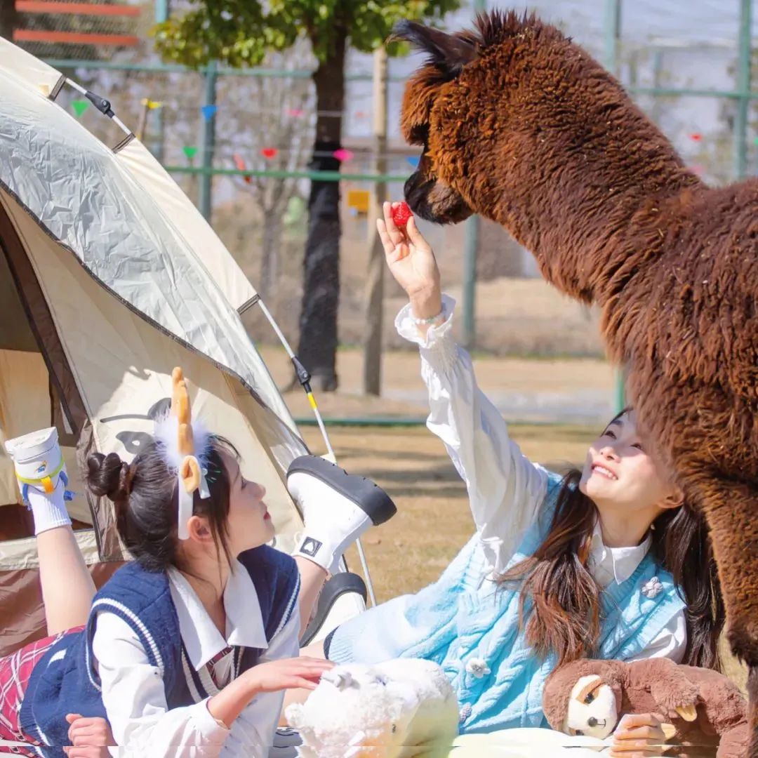 江苏十三城清明出游指南?别错过这五回应你的旅行期待!” 江苏十三城清明出游指南?别错过这五回应你的旅行期待!”