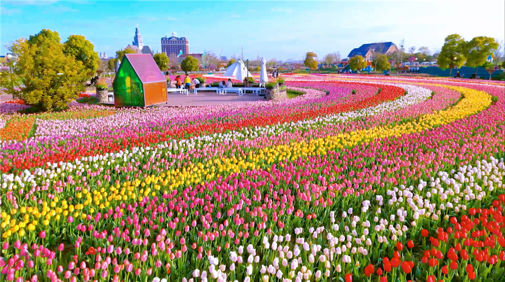 江苏十三城清明出游指南?别错过这五回应你的旅行期待!” 江苏十三城清明出游指南?别错过这五回应你的旅行期待!”