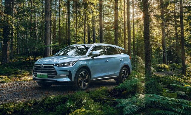 巅峰之上 再造巅峰休闲区蓝鸢梦想 - Www.slyday.coM 巅峰之上 再造巅峰休闲区蓝鸢梦想 - Www.slyday.coM