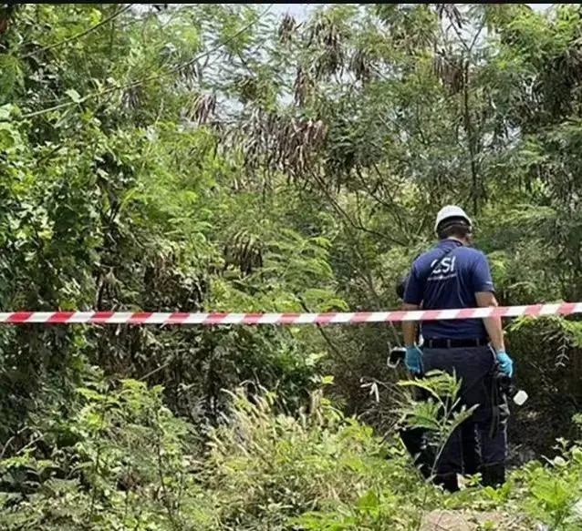 泰國警方在女留學生遇害現場調查。